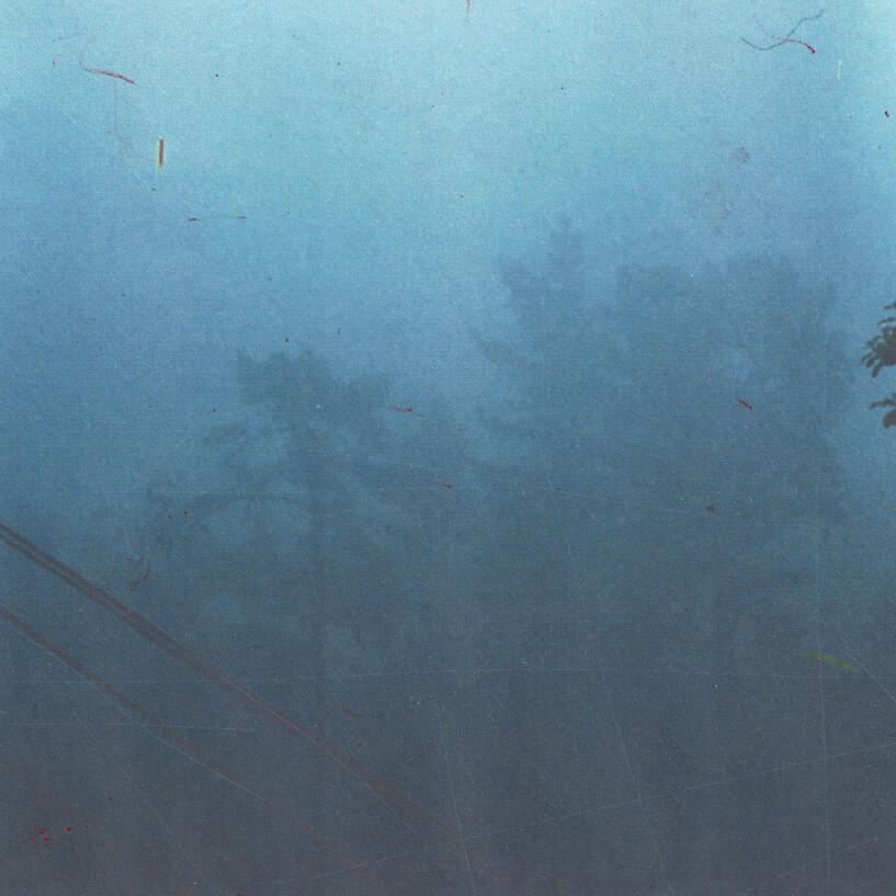 Minnie Robberds - Godwits